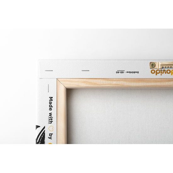 Obraz zajímavá černobílá Mandala