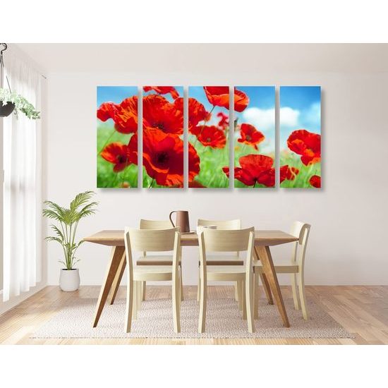 5-dílný obraz luční máky