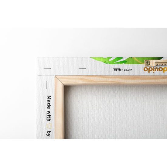 Obraz hravá zvířátka v džungli