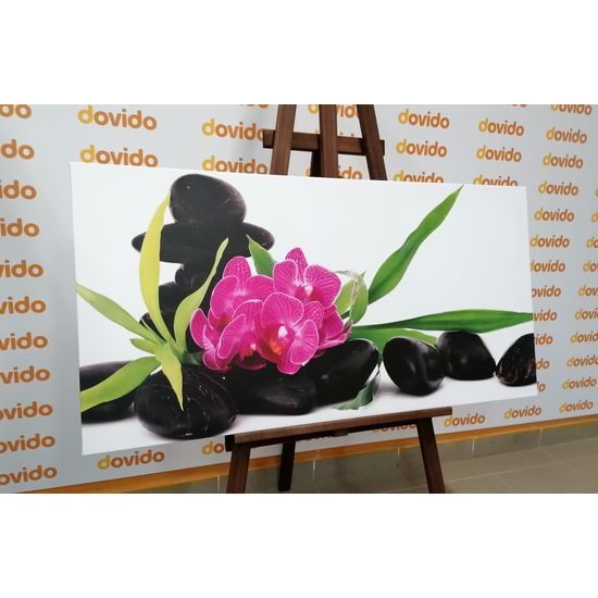 Obraz krásný květ orchideje ve SPA zátiší