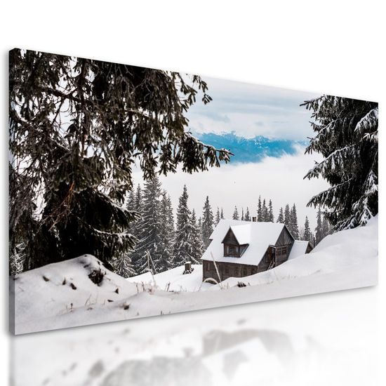Obraz domeček v klíně zasněžené přírody