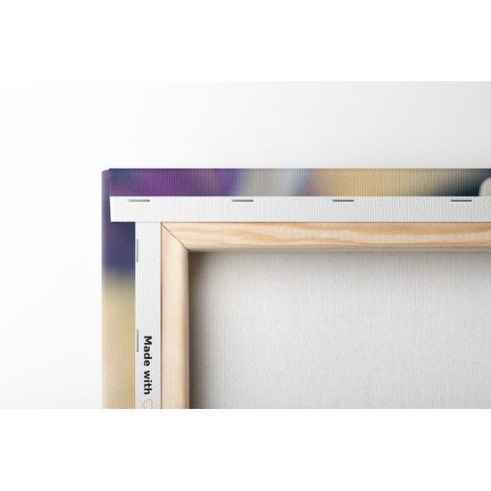 Obraz nádherný detail na květiny třešně