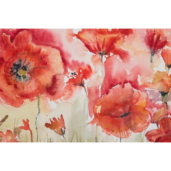 Obraz malované máky