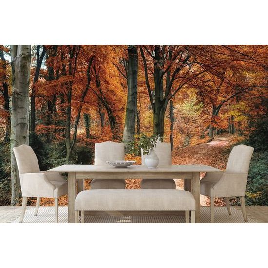 Fototapeta les v barvách podzimu