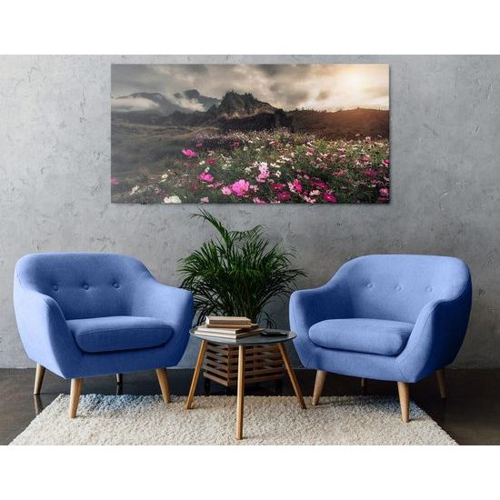 Obraz rozkvetlá louka