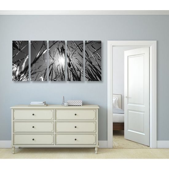 5-dílný obraz umělecká louka v černobílém provedení
