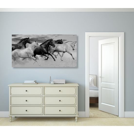 Obraz cválající koně v černobílém provedení