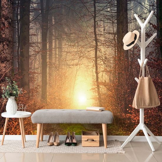 Samolepící fototapeta tajemný podzimní les