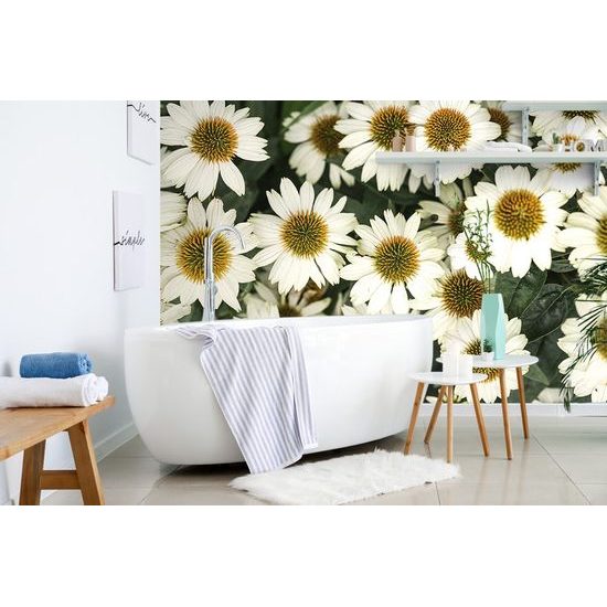 Jedinečná fototapeta uzdravující heřmánek