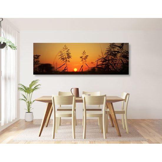 Obraz západ slunce za stéblami trávy