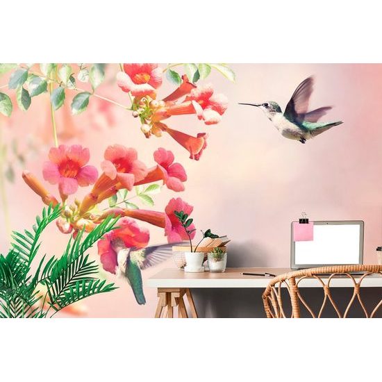 Samolepící tapeta nádherný kolibřík