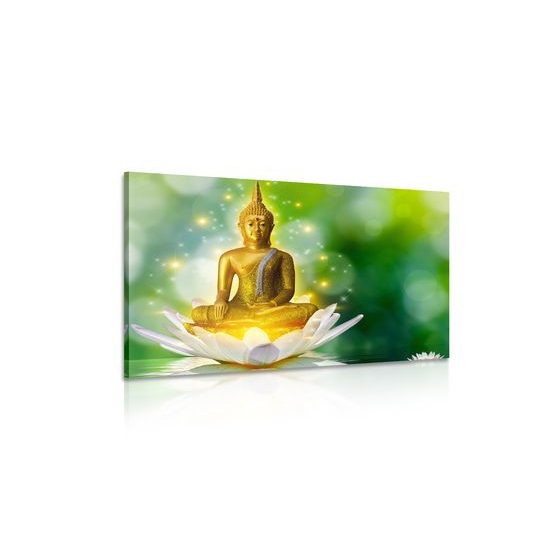 Obraz harmonický Buddha