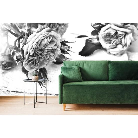 Okouzlující fototapeta černobílé růže na pergamenu