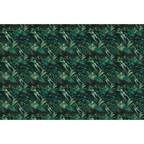 Samolepící tapeta nádherný tropický prales