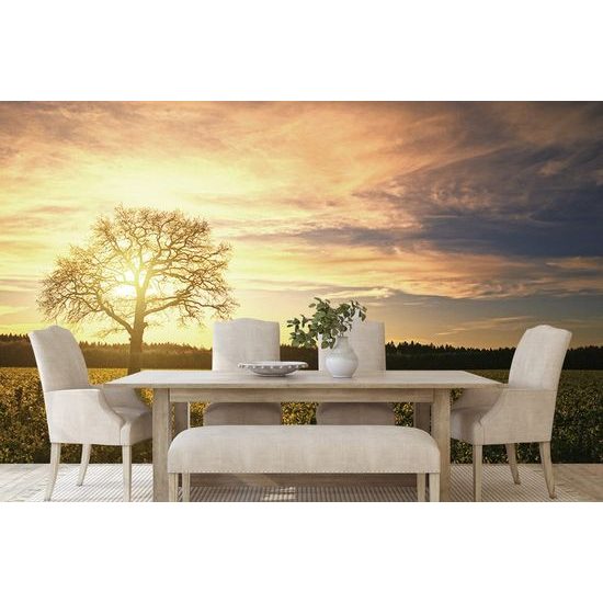 Samolepící fototapeta opuštěný strom při západu slunce
