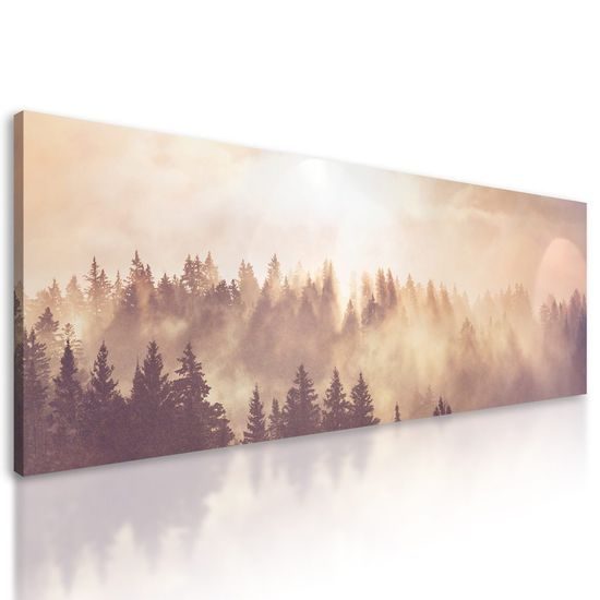 Obraz ranní paprsky slunce nad lesem