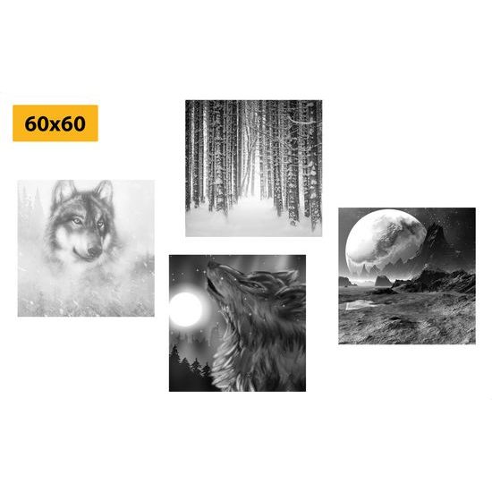 Set obrazů nádherný vlk