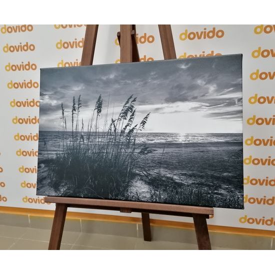 Obraz černobílý západ slunce z pláže