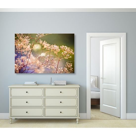 Obraz nádherné květiny