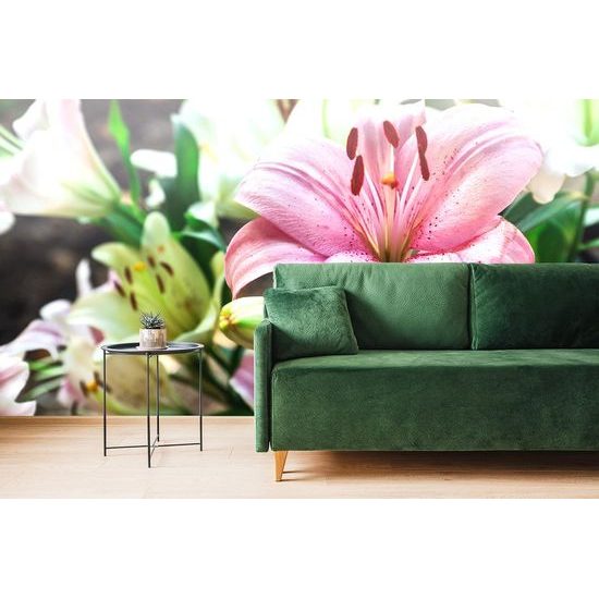 Samolepící fototapeta rozkvetlá lilie zbarvená do růžova