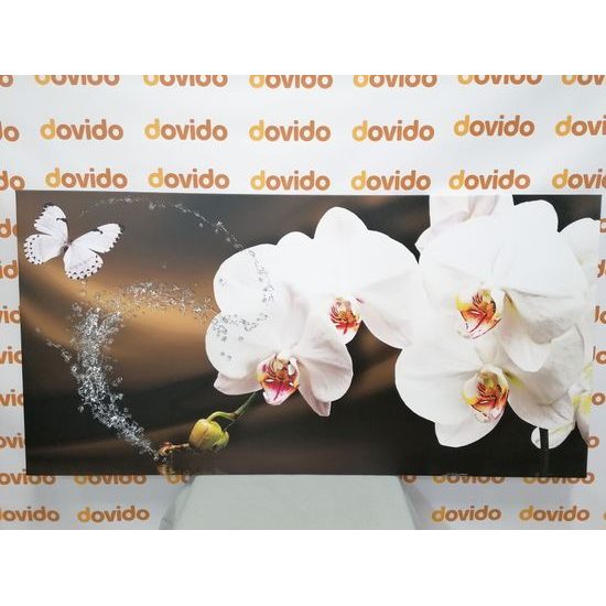 Obraz harmonie motýla s orchidejí