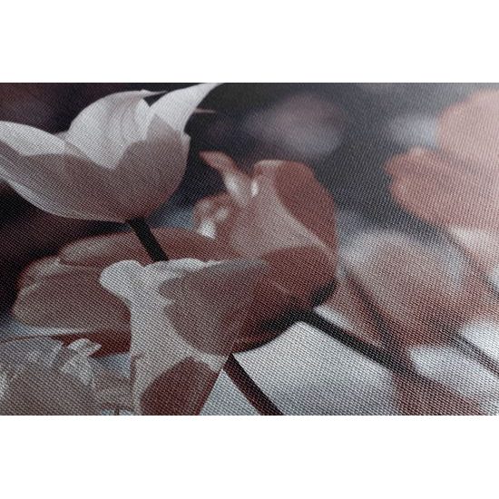 Obraz jemné tulipány u lesa