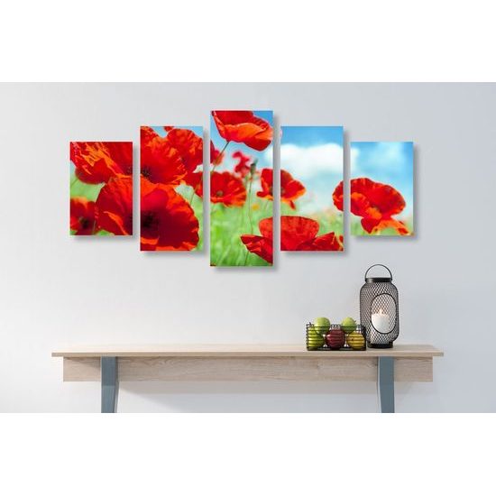 5-dílný obraz luční máky