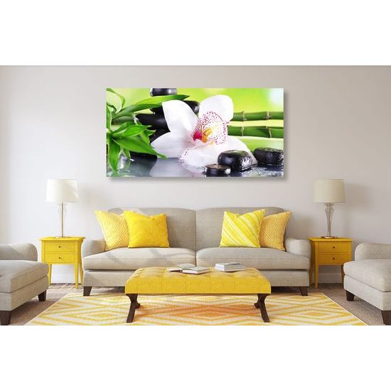 Obraz zen zátiší s orchidejí