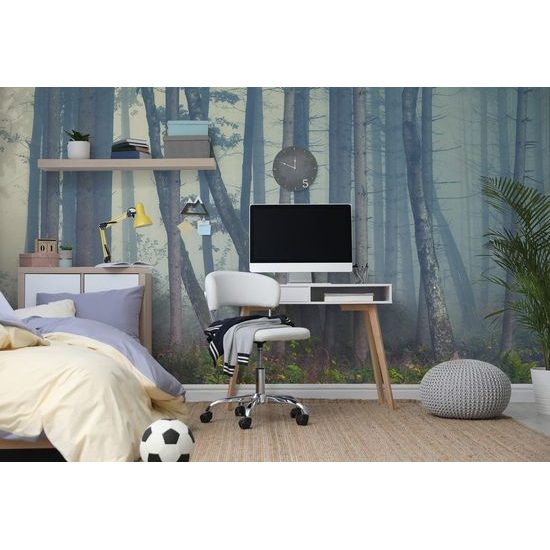 Samolepící fototapeta mysteriózní les