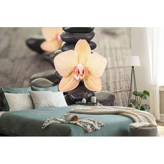 Samolepící fototapeta krásná orchidej se zen kameny