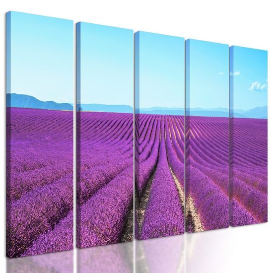 5-dílný obraz nádherná levadulová pole