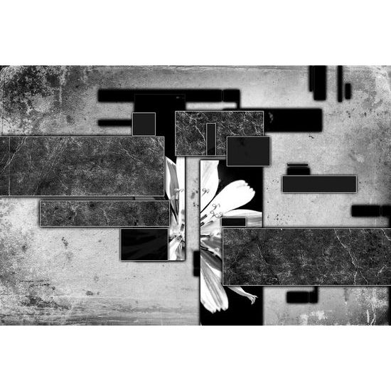 Tapeta luxusní abstrakce v černobílém provedení