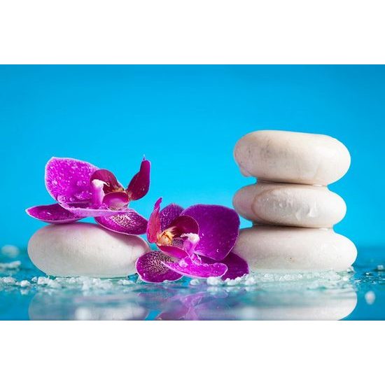 Samolepící fototapeta spa zátiší s modrým pozadím