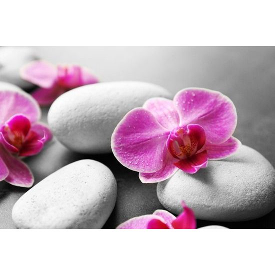 Samolepící fototapeta wellness zátiší s orchidejí