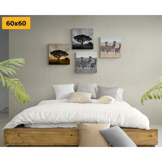 Set obrazů divoká savana