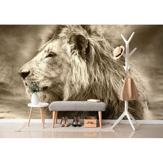 Fototapeta sépiová hlava lva