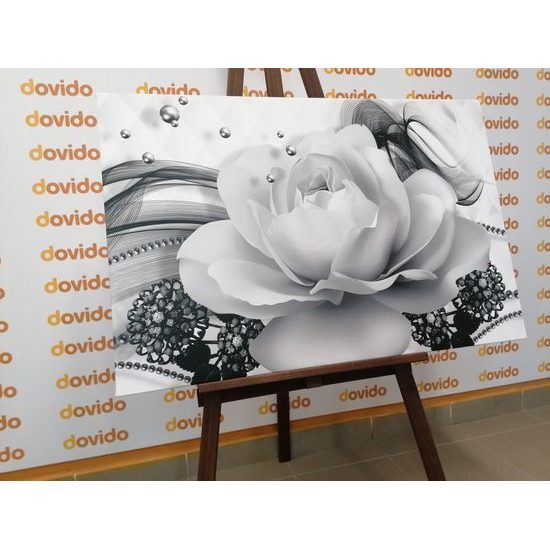 Obraz černobílá růže v elegantním provedení