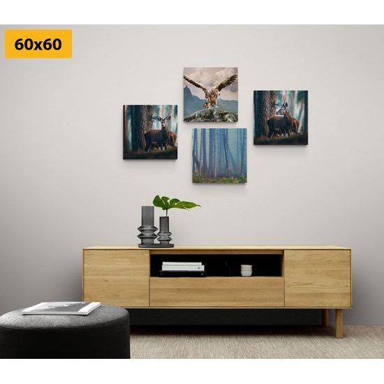 Set obrazů nádherná lesní zvířata