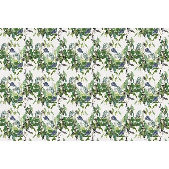 Tapeta půvabné tropické listy