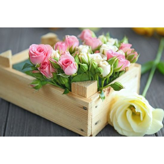 Obraz bednička plná růží