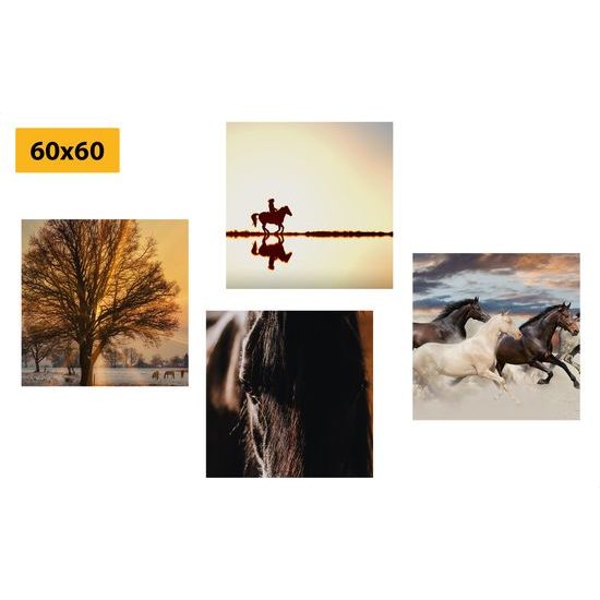 Set obrazů cválající koně