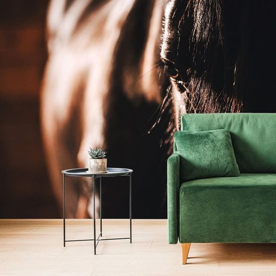 Originální samolepící fototapeta vznešený kůň