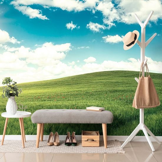 Samolepící fototapeta nádherná louka