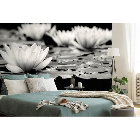 Fototapeta okouzlující květ lotosu v černobílém provedení