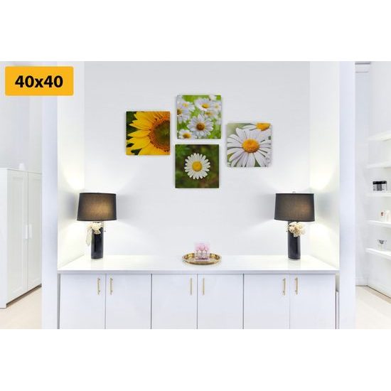 Set obrazů jarní květiny