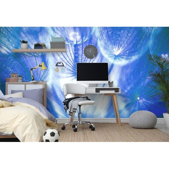 Zajímavá fototapeta modrá pampeliška