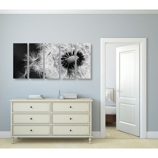 5-dílný obraz černobílá pampeliška ve větru