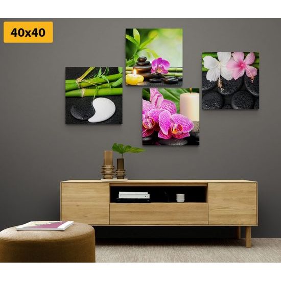 Set obrazů nádherné Feng Shui prvky