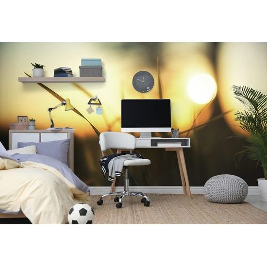 Fototapeta pohled na západ slunce z trávy