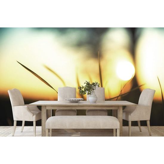 Samolepící fototapeta pohled na západ slunce z trávy